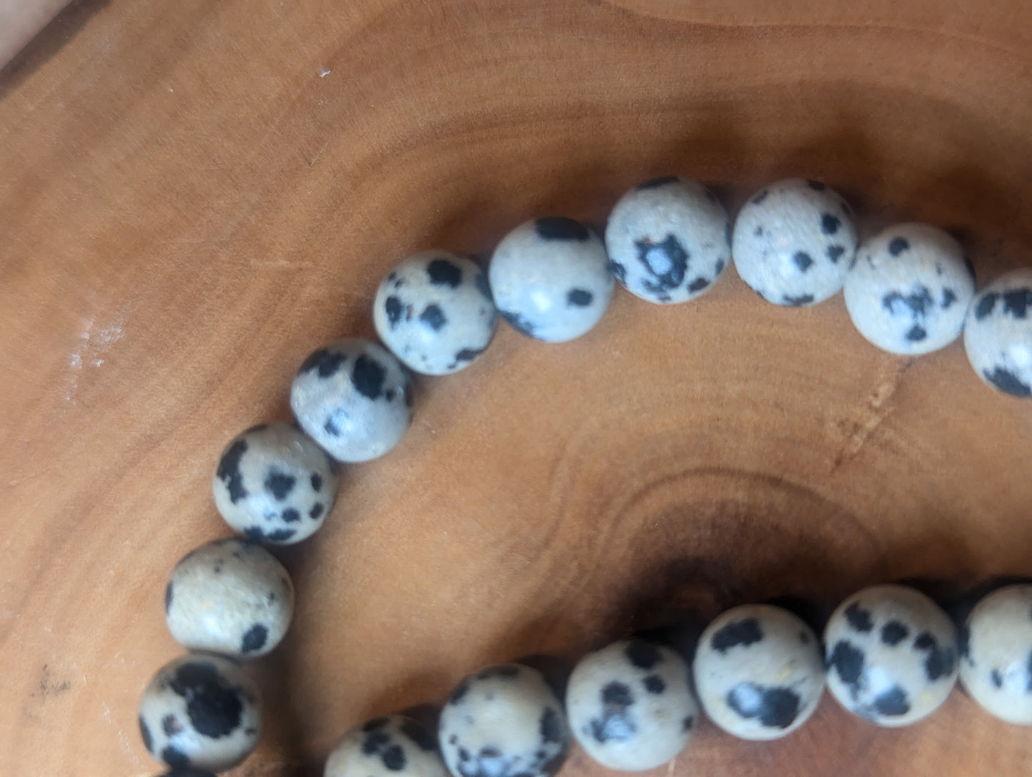 Dalmatian jasper 8mm polished beads